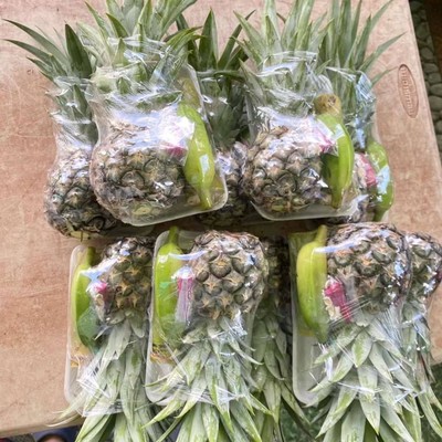 สับปะรด กล้วย อ้อย