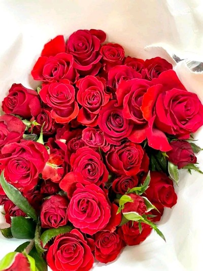 กุหลาบจีนแบบพวง