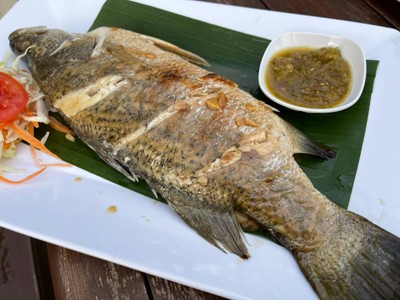 ปลากระพงอบเนยกระเทีย