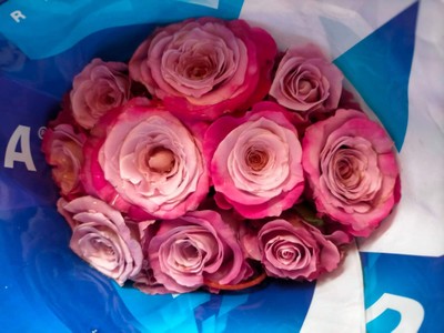 กุหลาบนอก20ดอก