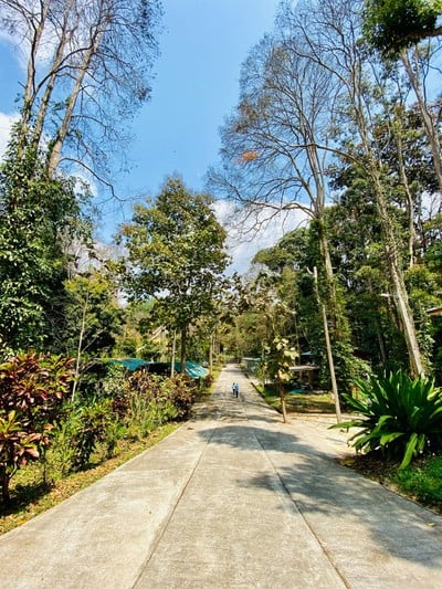 วัดป่าปางกื้ดกิตติธรรม