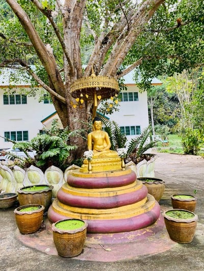 วัดป่าปางกื้ดกิตติธรรม