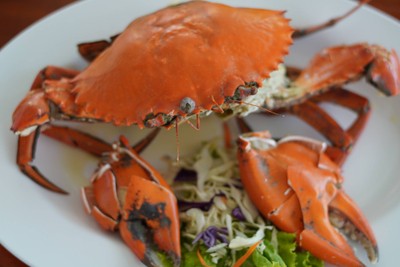 ปูทะเลนึ่ง