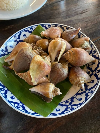 หอยชักตีน