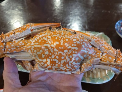 ปูม้านึ่ง 4ตัว/กก