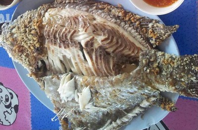 ปลาเผา