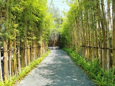 หน้าร้าน