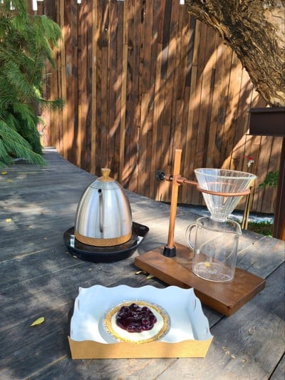 Blueberry Cheese Pie