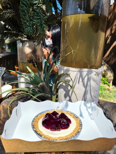 Blueberry Cheese Pie