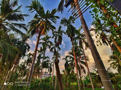 บรรยากาศ