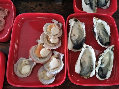 หอยนางรมเกาหลี