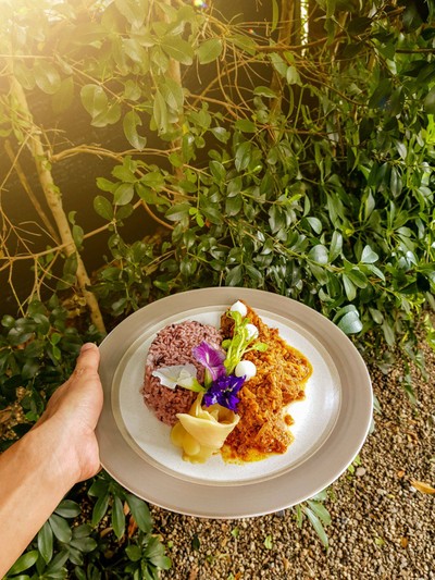 Burmese Curry