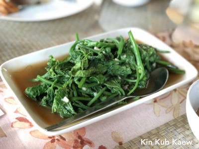 ผัดยอดฝักทองน้ำมันหอย