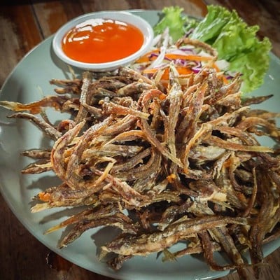 กระเพราเผ็ด อาหารป่า