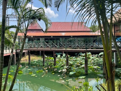 สิ่งอำนวยความสะดวก/กิจกรรม