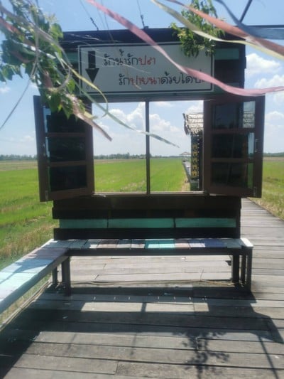 บรรยากาศ