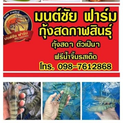 รูปโปรไฟล์