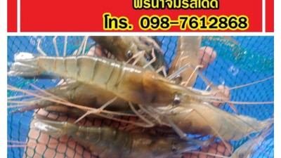 หน้าปก