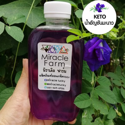 วิธีทำ น้ำปั่นเคลมะนาวคีโต   kale juice and lemonade with stevia syrup  