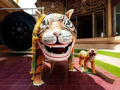 ท่ามกลางบรรยากาศที่ธรรมชาติมีฉากหลังเป็นทิวเขาเเละสายน้ำ