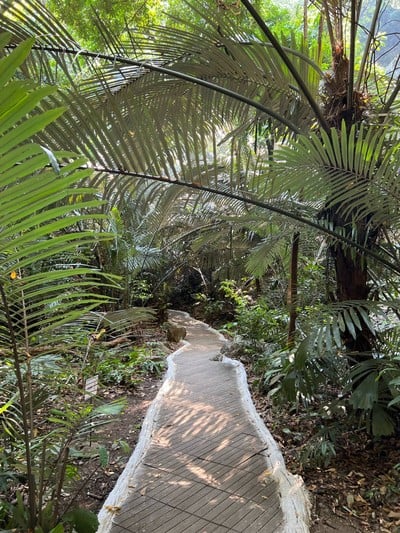 หุบป่าตาด