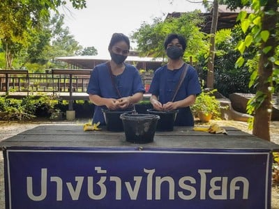 ท่ามกลางบรรยากาศที่ธรรมชาติมีฉากหลังเป็นทิวเขาเเละสายน้ำ