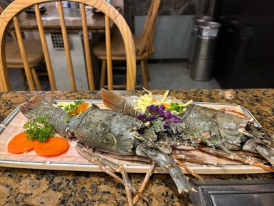 LOBSTER