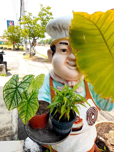 บรรยากาศ