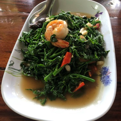 ผักหวานผัดน้ำมันหอย