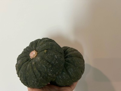 ฟักทองมินิบอล