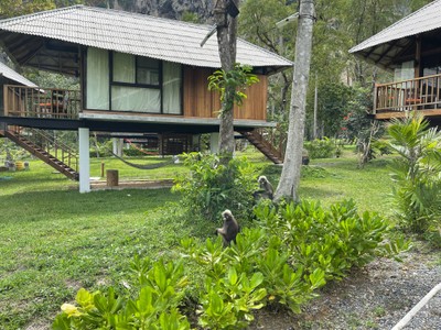 บริเวณโดยรอบ