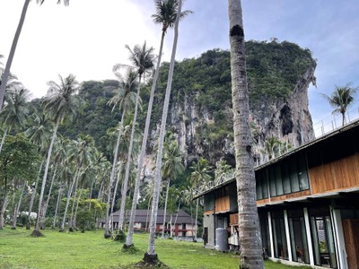 บริเวณโดยรอบ