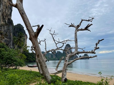 บริเวณโดยรอบ