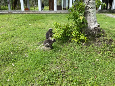 บริเวณโดยรอบ