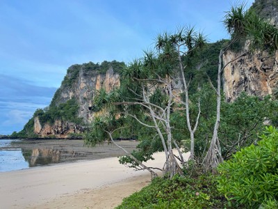 บริเวณโดยรอบ