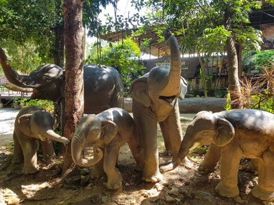 ท่ามกลางบรรยากาศที่ธรรมชาติมีฉากหลังเป็นทิวเขาเเละสายน้ำ