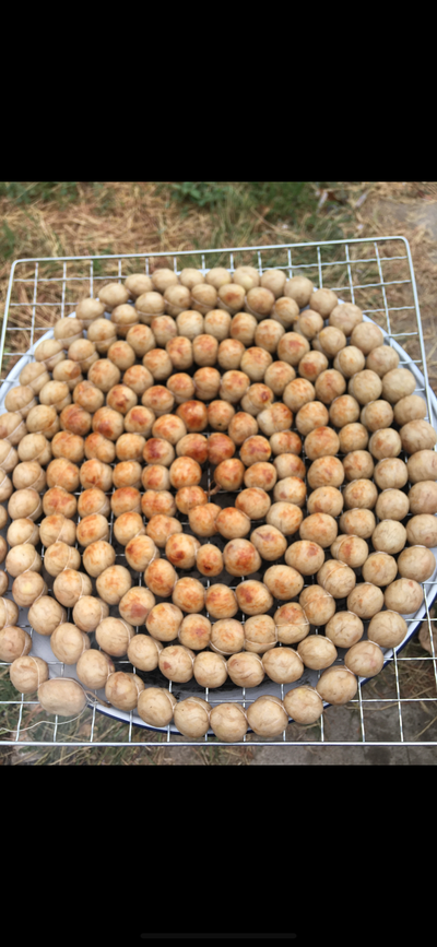 ไส้กรอก ชุดกลาง