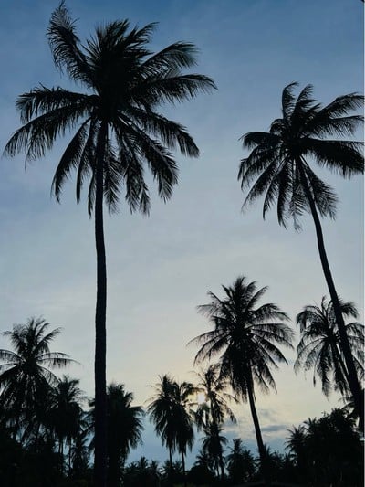 บรรยากาศ ปากน้ำปราณบุรี