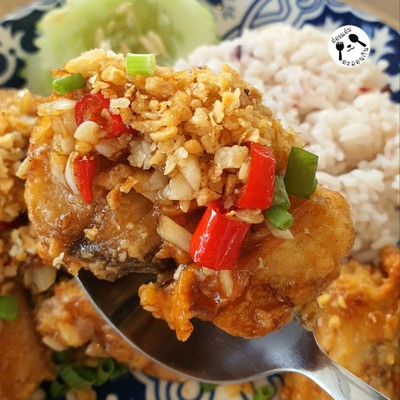 ข้าวปลากะพงทอดคั่วพริกเกลือ