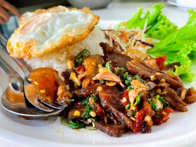 ข้าวกระเพราพริกแห้งเนื้อตุ๋นเอ็นตุ๋น