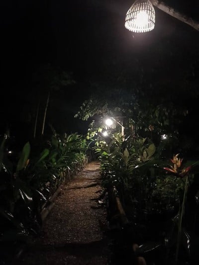 เดินย่อยกันสักหน่อย อากาศชื้นๆเย็นๆ สบาย