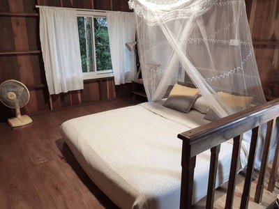 นอนฟังเสียงธารน้ำไหล แวดล้อมด้วยลำธารและต้นไม้