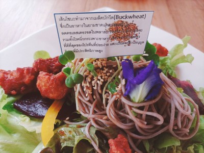 สลัดโซบะไก่คาราเกะ Soba&Chicken karage salad