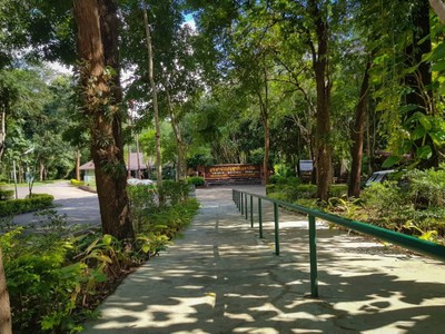 ท่ามกลางบรรยากาศที่ธรรมชาติมีฉากหลังเป็นทิวเขาเเละสายน้ำ