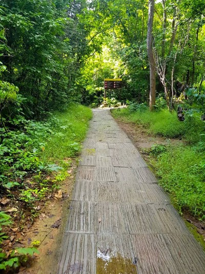 ท่ามกลางบรรยากาศที่ธรรมชาติมีฉากหลังเป็นทิวเขาเเละสายน้ำ