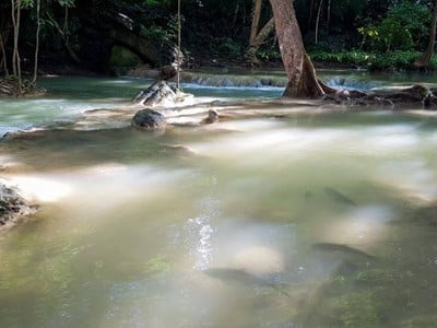 เรามาตอนฝนพึ่งหยุดตก แต่น้ำก็ยังใสเย็นเห็นตัวปลาอยู่