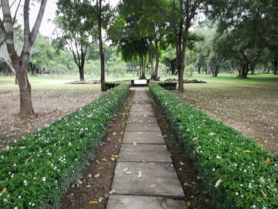 ร่มรื่นเต็มไปด้วยต้นไม้และดอกไม้