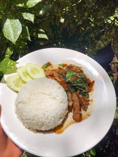 ข้าวกะเพราหมูย่าง
