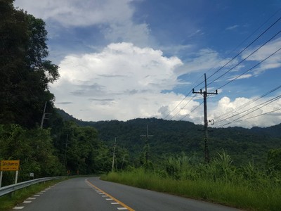 ตลอดสองข้างทางที่เราเดินทาง เต็มไปด้วยต้นไม้ กลิ่นไอธรรมชาติ