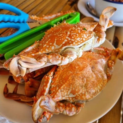 เมนูของร้าน ครัวบางปอ